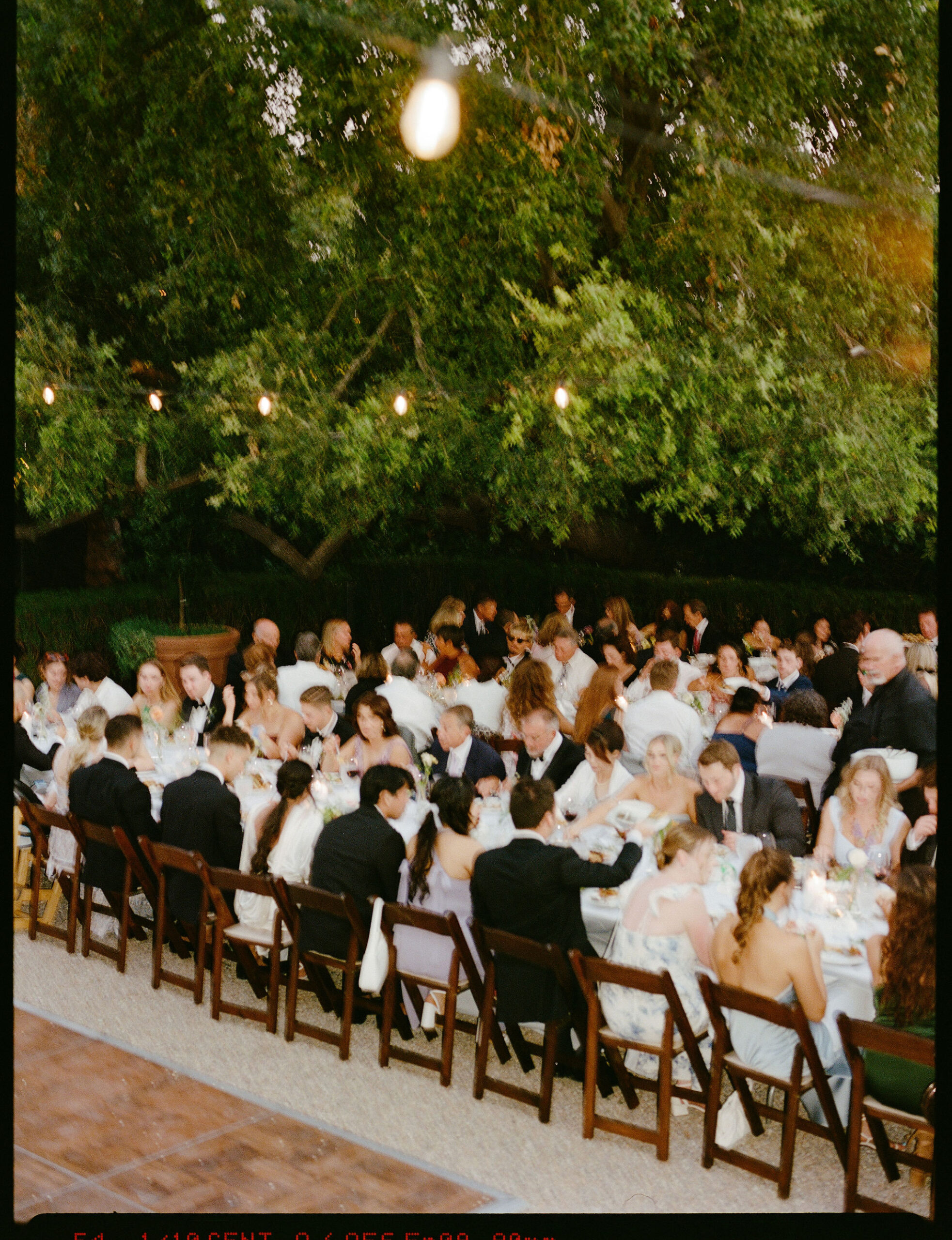 Guests enjoy a wedding reception at a private residence for a backyard wedding