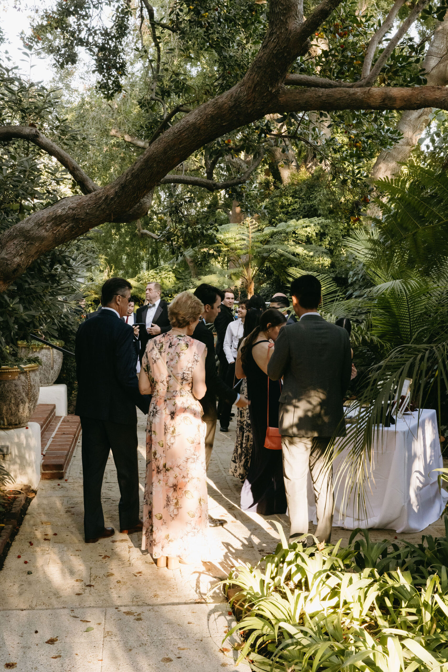 A group of people in formal attire gather outside at a garden event under a large tree.