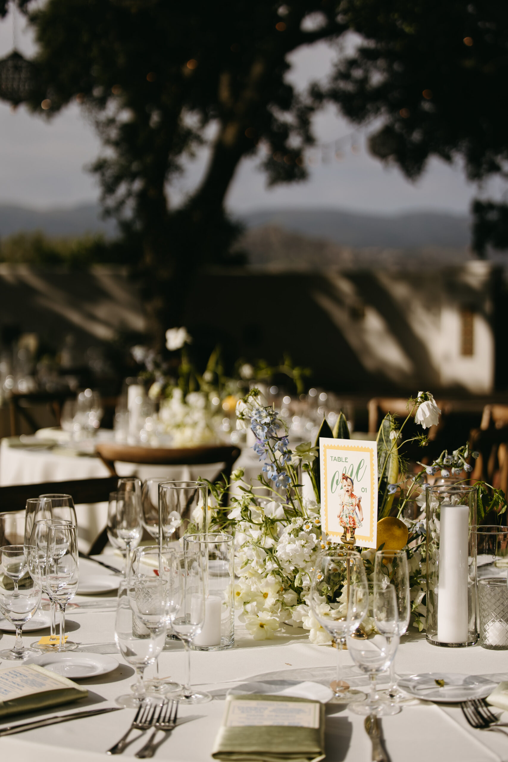 Outdoor dining area with round tables covered in white tablecloths. Wooden chairs surround the tables. Overhead, chandeliers hang from tree branches. Lush greenery is visible in the background at quail ranch