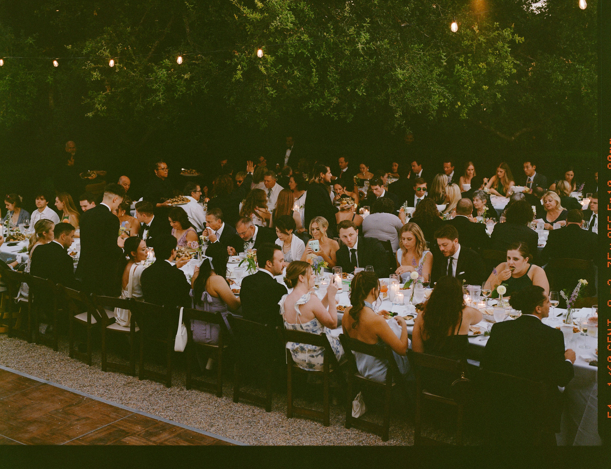 Guests enjoy a wedding reception at a private residence for a backyard wedding